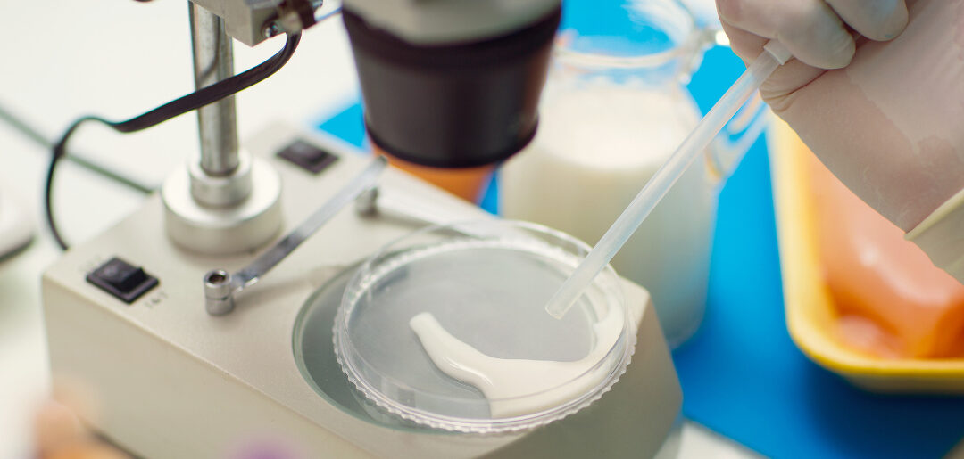 Ballya just testy. Co to takiego?