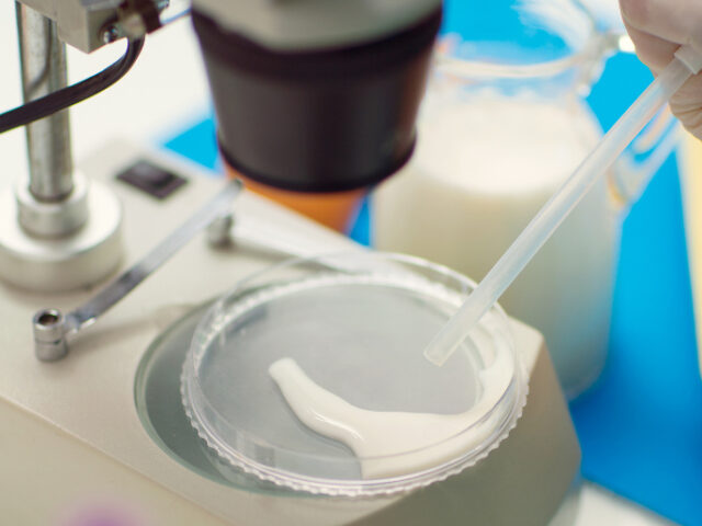 Ballya just testy. Co to takiego?