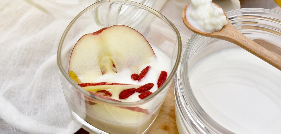 Kultury bakterii w jogurtach I kefirach