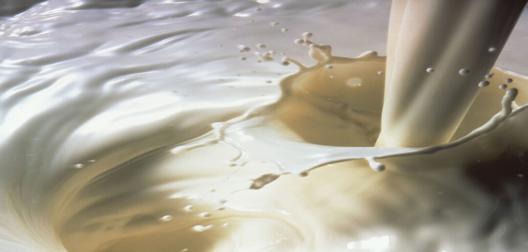 Po czym poznać jakość mleka?