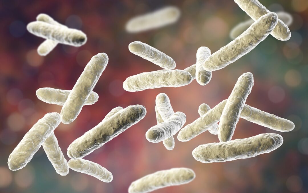 Probiotyki i ich zawartość w mleku